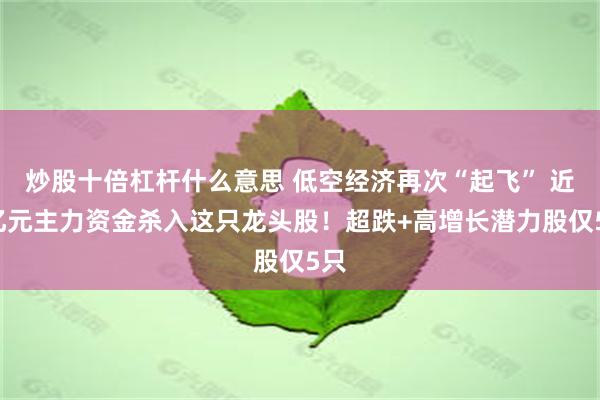 炒股十倍杠杆什么意思 低空经济再次“起飞” 近4亿元主力资金杀入这只龙头股！超跌+高增长潜力股仅5只