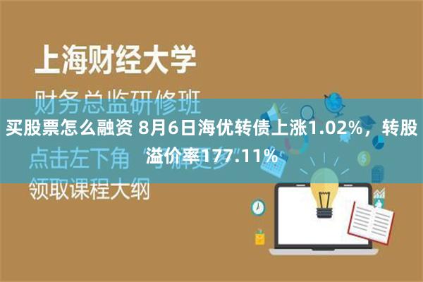 买股票怎么融资 8月6日海优转债上涨1.02%，转股溢价率177.11%