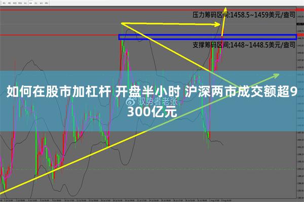 如何在股市加杠杆 开盘半小时 沪深两市成交额超9300亿元