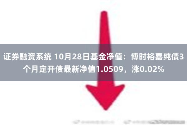 证券融资系统 10月28日基金净值：博时裕嘉纯债3个月定开债最新净值1.0509，涨0.02%