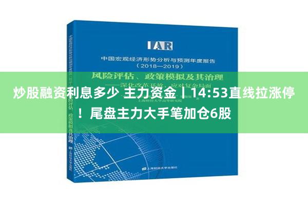 炒股融资利息多少 主力资金丨14:53直线拉涨停！尾盘主力大手笔加仓6股