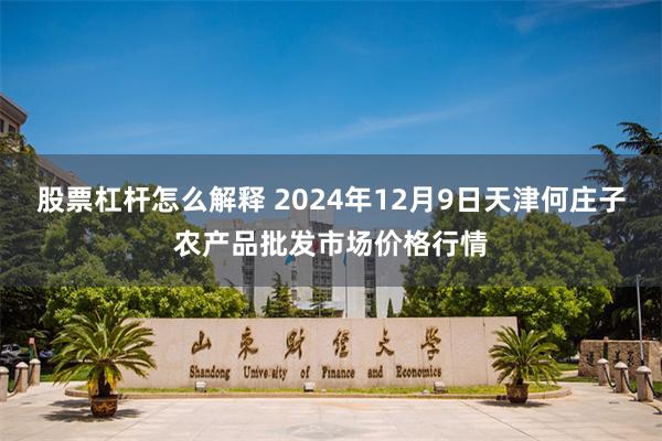 股票杠杆怎么解释 2024年12月9日天津何庄子农产品批发市场价格行情