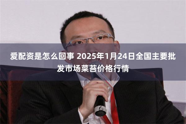 爱配资是怎么回事 2025年1月24日全国主要批发市场菜苔价格行情