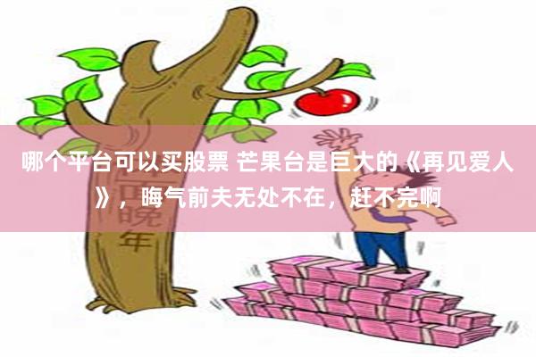 哪个平台可以买股票 芒果台是巨大的《再见爱人》，晦气前夫无处不在，赶不完啊